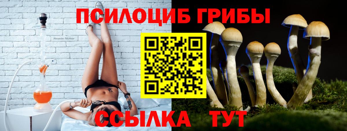 Псилоцибиновые грибы Magic Shrooms  Галлюциногенные грибы Cubensis  Вход с VPN  Кировск 
